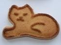 cookie felino